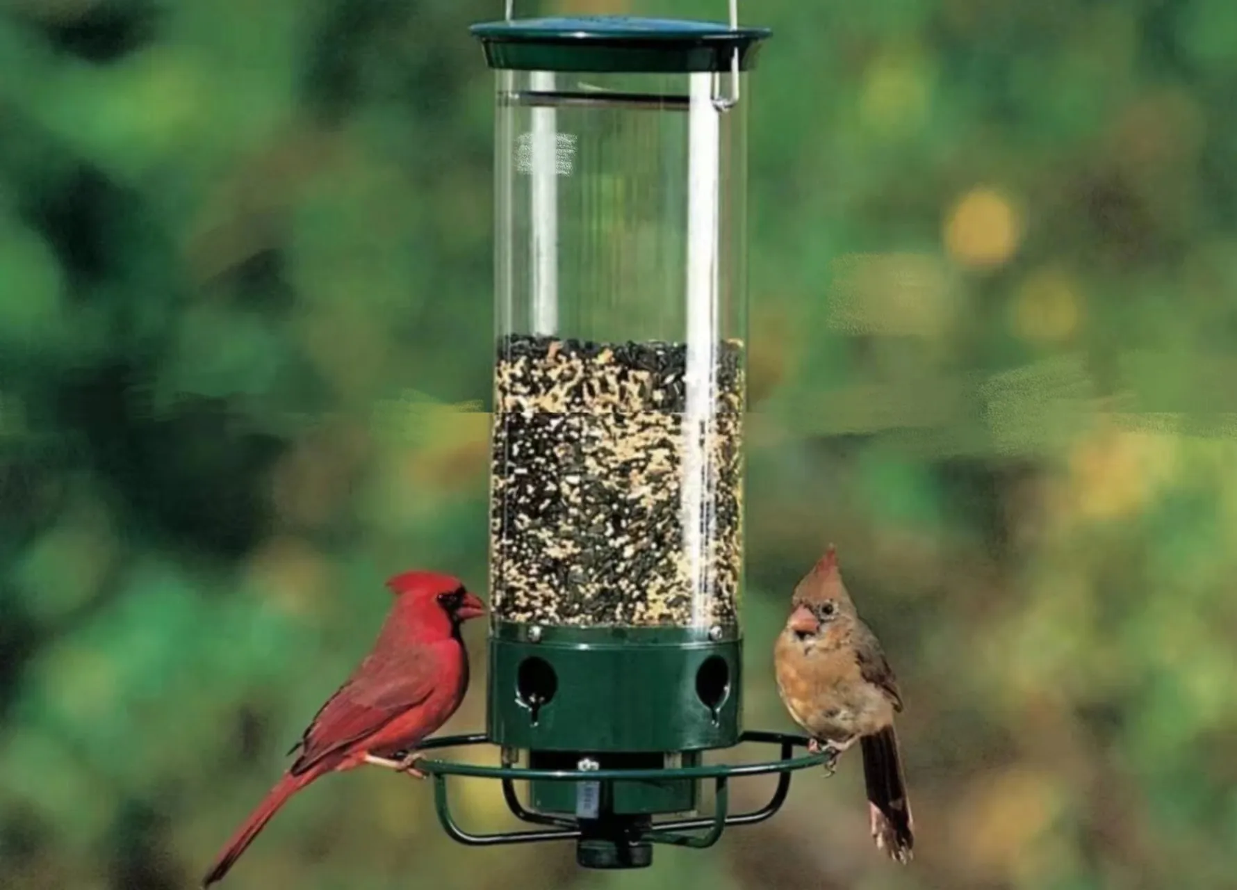 Squirrel-Proof Bird Feeder